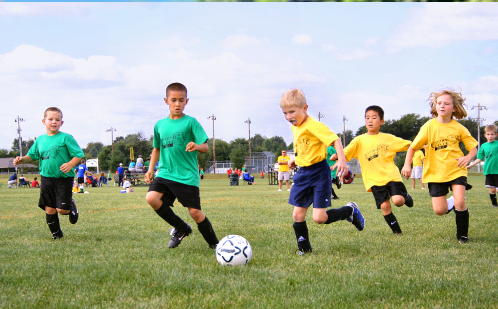 How to Become a Sports Agent: Step-by-Step Career Guide